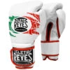 Gants D’entraînement Pro Mexican Flag, Cleto Reyes