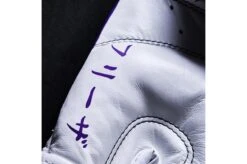 Gants De Boxe Collector, Edition Limitée Dragon Ball Z - Frieza, Elion Paris -Martiaux Fitness Magasin gants de boxe collector edition limitee dragon ball z frieza elion paris 3