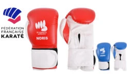 Gants De Karaté Contact - Homologués FFK, Noris