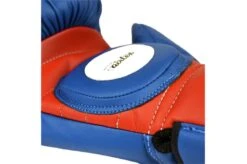 Gants De Professeur PRO - BGVL13, Fairtex -Martiaux Fitness Magasin gants de professeur pro bgvl13 fairtex 4