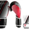 Gants D’Entraînement - GAMMA, Eizo Boxing