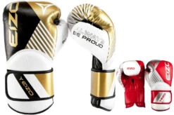 Gants D’Entraînement - NEXT, Eizo Boxing