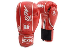 Gants De Boxe, Initiation - HAWK, Montana -Martiaux Fitness Magasin gants initiation multiboxe hawk 2