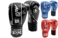 Gants De Boxe, Initiation - HAWK, Montana