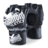 Gants MMA - Blackout, Phantom Athletics