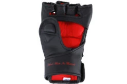 Gants MMA, Elion Paris -Martiaux Fitness Magasin gants mma elion 3