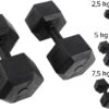 [Fin De Série] Paire D'haltères Hexagonales De 2,5 à 10 Kg -Martiaux Fitness Magasin paire d halteres hexagonales de 25 a 10 kg