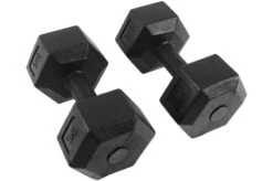 [Fin De Série] Paire D'haltères Hexagonales De 2,5 à 10 Kg -Martiaux Fitness Magasin paire d halteres hexagonales de 25 a 10 kg 4