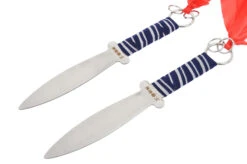 Paire De Dagues Cai Li Fo (Choi Li Fut), Initiation (29 Cm)