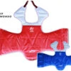 Plastron Taekwondo, Réversible - WTF, Noris -Martiaux Fitness Magasin plastron reversible homologue wtferedation noris