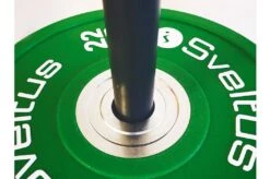 Rack De Rangement Mobile Pour Disques, Sveltus -Martiaux Fitness Magasin rack de rangement mobile pour disques sveltus 2