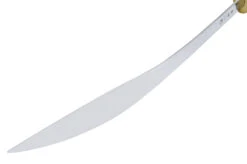 Sabre Bagua Jian Wang - Semi Flexible/flexible -Martiaux Fitness Magasin sabre bagua jian wang 2